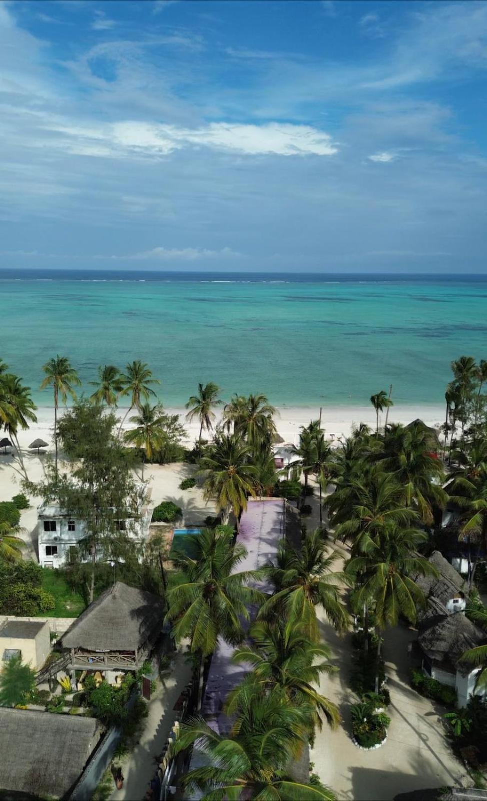 Your Zanzibar Place Paje Εξωτερικό φωτογραφία