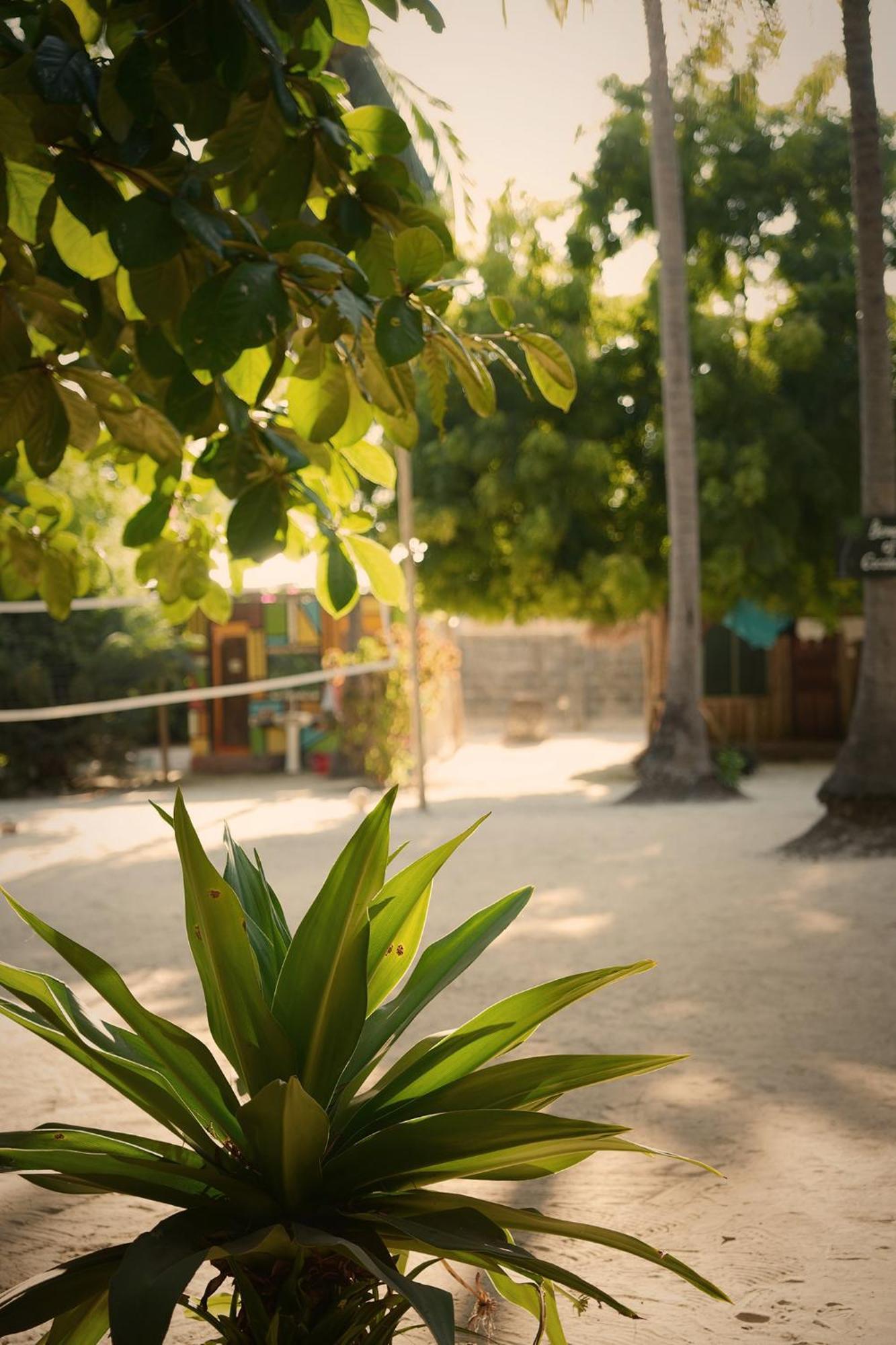 Your Zanzibar Place Paje Εξωτερικό φωτογραφία